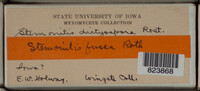Image Associated With the Occurence